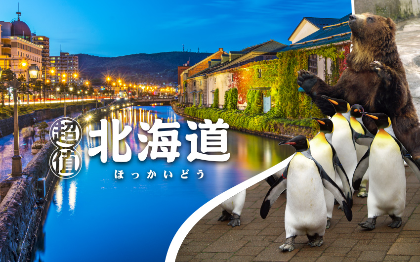 超值北海道５日